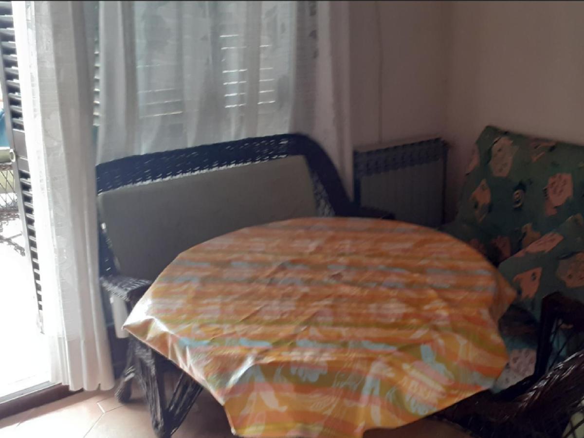 Rudi * Klenovica
